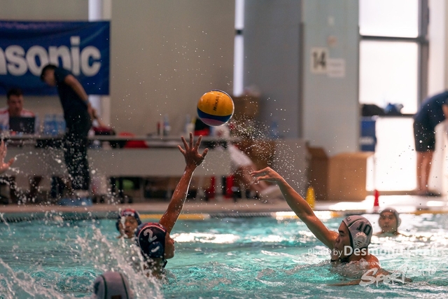 Desmond Chan 20231126 WaterPolo-_DAC9656
