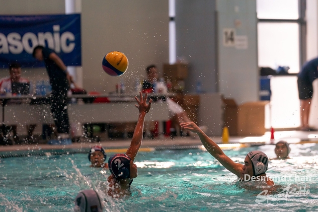 Desmond Chan 20231126 WaterPolo-_DAC9657