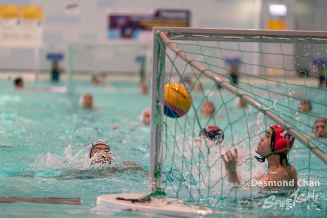 Desmond Chan 20231126 WaterPolo-_DAC9766