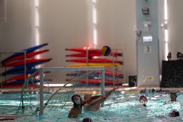 Desmond Chan 20231126 WaterPolo-_DAC9952