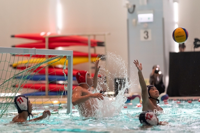 Desmond Chan 20231126 WaterPolo-_DAC9979