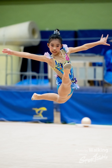 2023-11-18 RG - Ball-0525