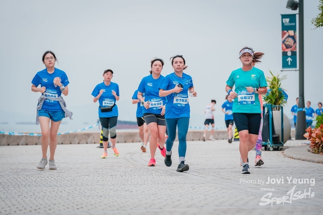 joviYfoto - 1145