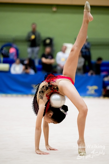 2023-11-19 RG - Ball-0069