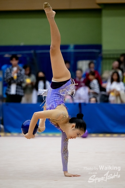 2023-11-19 RG - Ball-0359