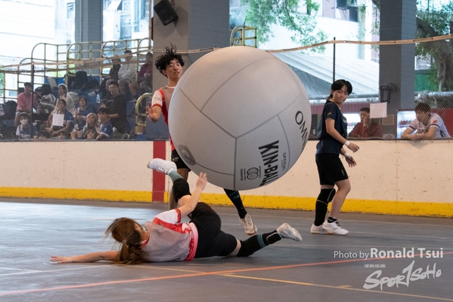 85R_0113