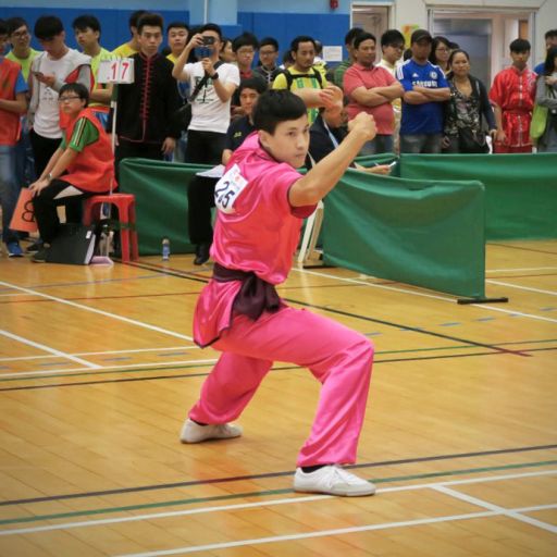 香港國術運動員 趙智敏