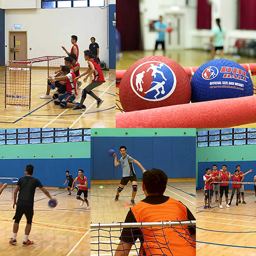 全球 DBL Ball