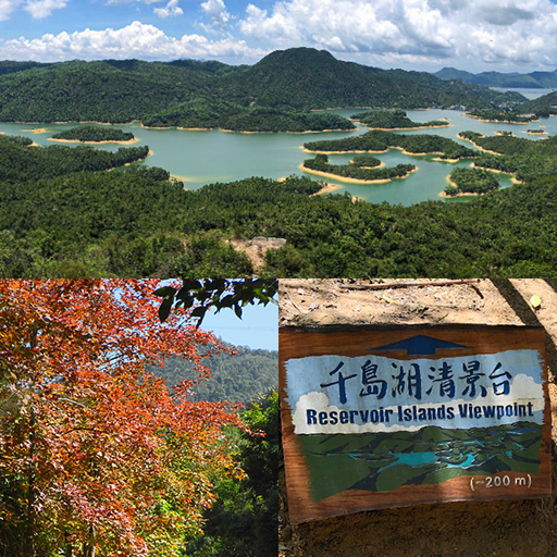 大棠紅葉千島湖