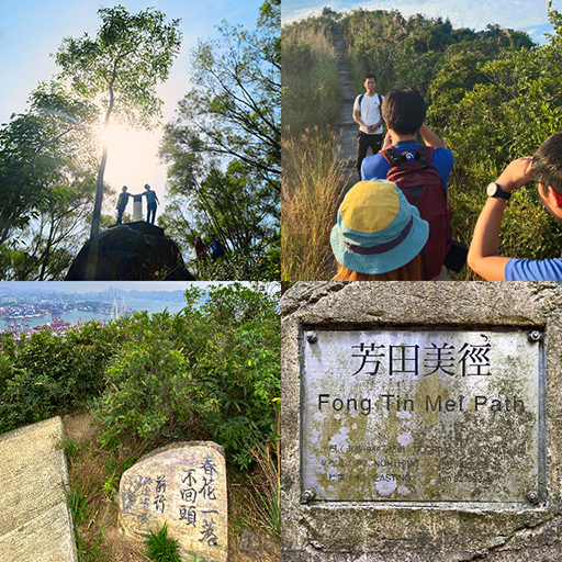 [Joyee帶行山] 青衣島