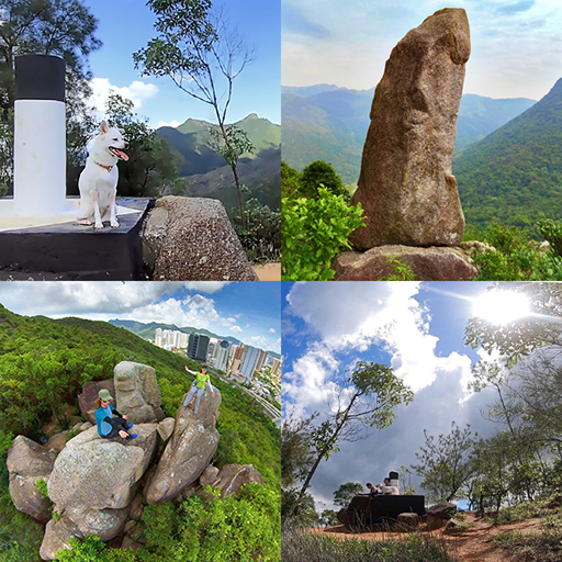 [Joyee帶行山] 女婆山