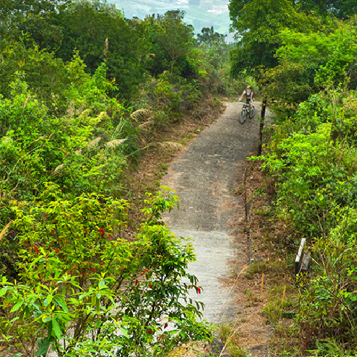 開山掘路Mountain Bike • 兩個轆逐個捉